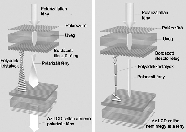 03_LCD_cell.jpg