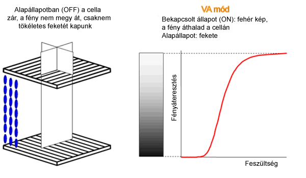 15b_reproduction_img05.jpg